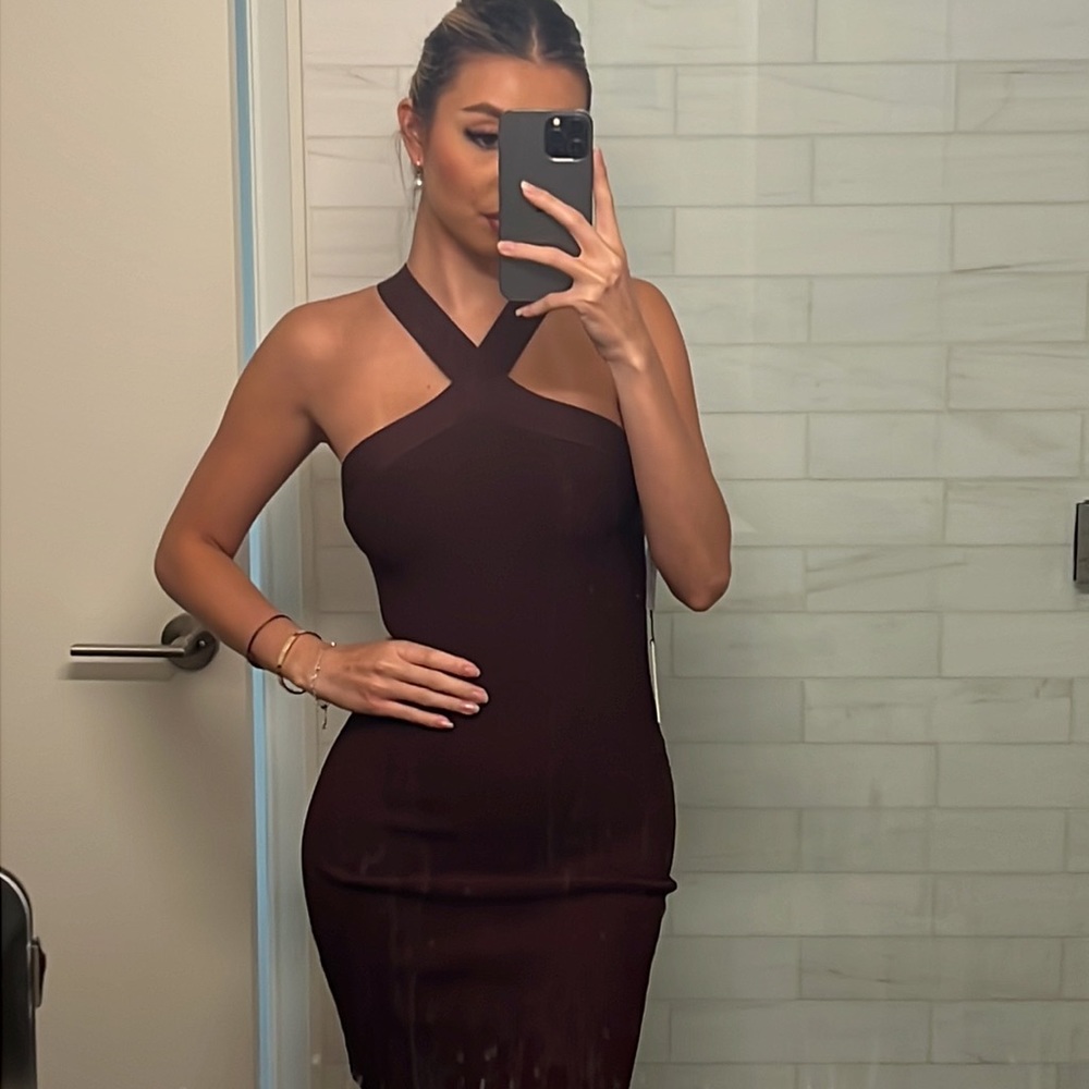 Babaton brown dress